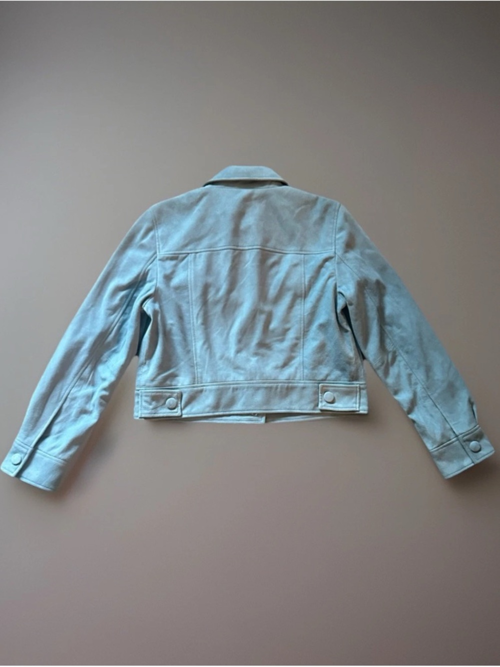 Walter Baker Kacey Suede Jacket Women's Baby Blue NWT $898 Sz Large - Picture 7 of 15